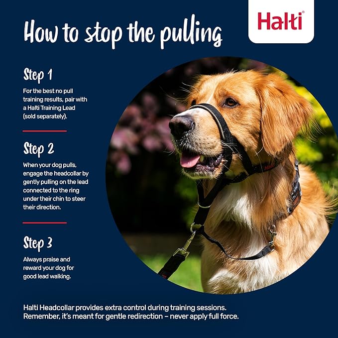 Halti Headcollar - Stop Your Dog Pulling on The Leash. Adjustable, Reflective and Lightweight, with Padded Nose Band. Dog Training Anti-Pull Collar for Small Dogs (Size 1, Red)