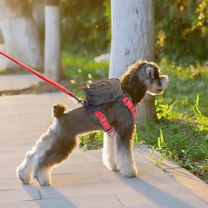 Dog Backpack Harness for Small and Medium Dogs, Adjustable Pet Bag with Detachable Backpack and Leash, Water-Resistant for Hiking, Travel and Walks, S