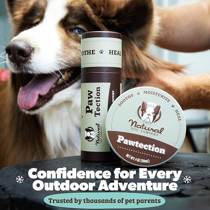 Natural Dog Company PawTection Balm for Dogs – Winter Paw Protection from Snow, Ice & Salt, Wax-Based Paw Barrier Balm, All Breeds for Cold Weather Walks & Outdoor Adventures, Lick-Safe, 0.15 oz Stick