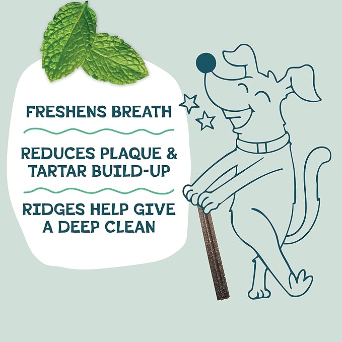 Shameless Pets Toothberry Dental Mini Chews for Dogs – Natural Dog Dental Sticks for Fresh Breath, Teeth Cleaning & Removes Tartar, Grain-Free Dog Treats, No Corn or Soy