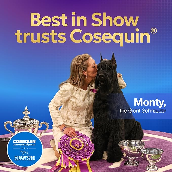 Nutramax Cosequin for Dogs Joint Health Supplement, Contains Glucosamine, Plus Chondroitin, MSM and Omega-3s, Supports Joint and Skin and Coat Health, Soft Chews, 120 Count