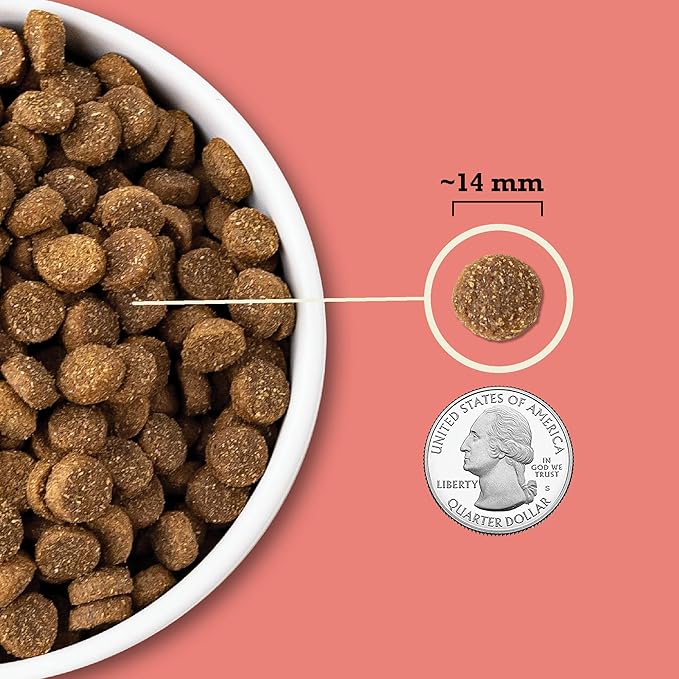 ACANA Wholesome Grains Dry Dog Food Red Meat & Grains Beef Pork & Lamb Recipe 4lb Bag