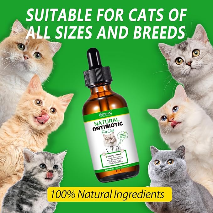 Antibiotics for Cats, Natural Antibiotic Pet Supplements Supports Immune & Cats Allergy Relief, Cat Multivitamin UTI Drops for All Ages & Breeds of Cat, Chicken Flavour - 2 Fl Oz / 1 Pack