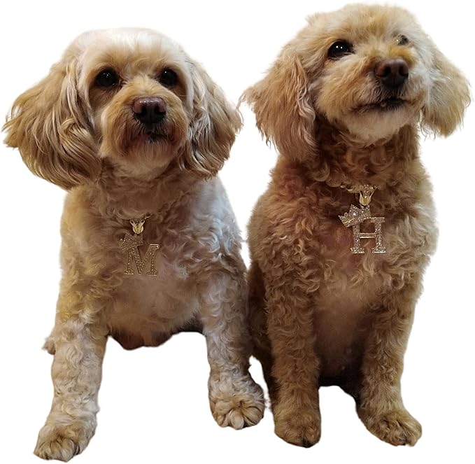 Initial Letter Cuban Chain Dog Chain Pet Chain Pet, Cat, Puppy Necklace (I, 26")
