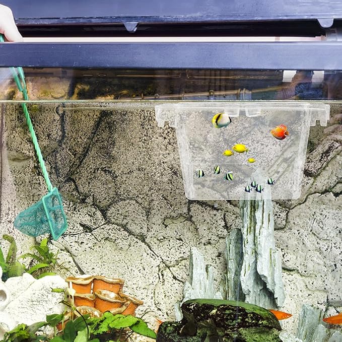 HANABASS Aquarium Fry Box and Fish Breeding Hatchery Incubator with Air Circulation, Small Isolation Box for Fish Tank Suitable for Betta and Shrimp Breeding