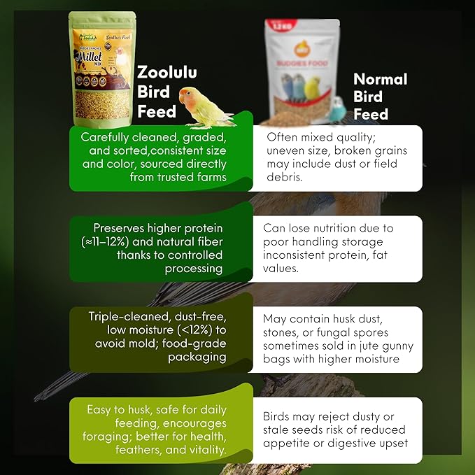 Danodia's Zoolulu Cockatiel & Parrotlet Millet Mix (450g/1 lbs) | Bird Food Blend for Cockatiels, Budgerigars, Parrotlets & Lovebirds | Daily Feeding Blend
