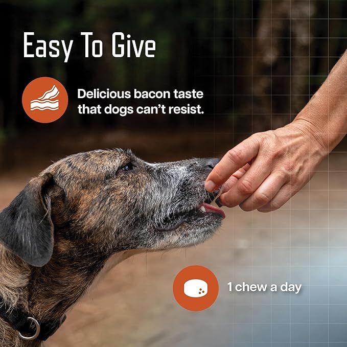 Virbac URSOLYX™ Soft Chews for Dogs | Muscle Health Support for Senior, Active or Recovering Dogs, Small up to 30lbs | 60 Count 2- Month Supply