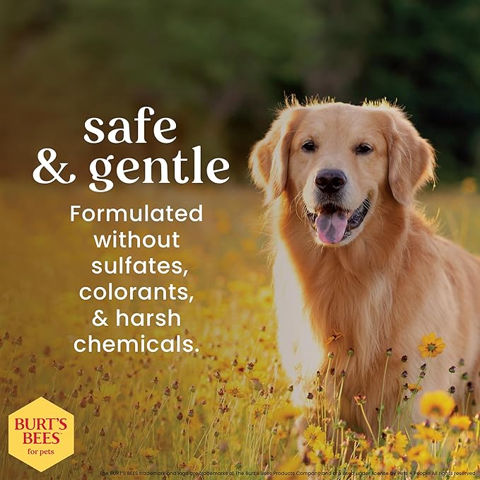 BURT'S BEES FOR PETS Deodorizing Spray for Dogs with Apple and Rosemary, 99.7% Natural Origin Formulas, Waterless Canine Cleanser - Gentle Dry Shampoo for Pups, 2pk, 10 oz