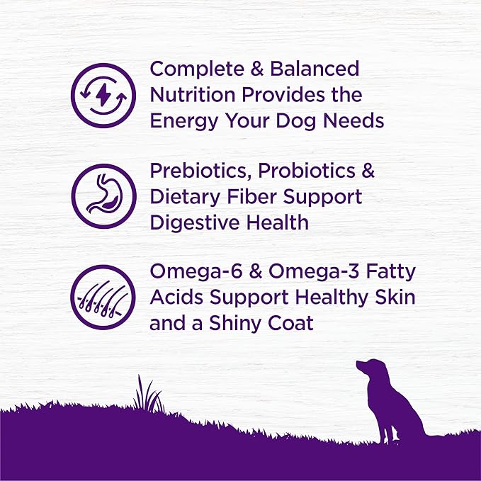 Wellness Complete Health Adult Dry Dog Food, Wholesome Grain Kibble, Natural, Beef and Barley Recipe, 5 lb Bag
