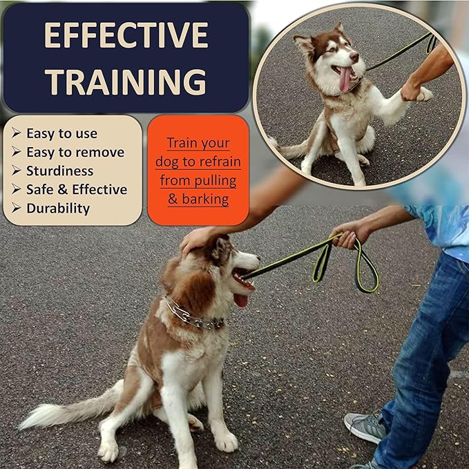 Quick Release Dog Training Collar Adjustable Stainless Steel Collar for Small Medium Large Dog (Black, XL Neck Girth 16.9"-22.2")