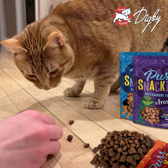 Fromm PurrSnackitty Chicken Flavor Snackitties Treats - Premium Soft & Savory Cat Treats - 3 oz