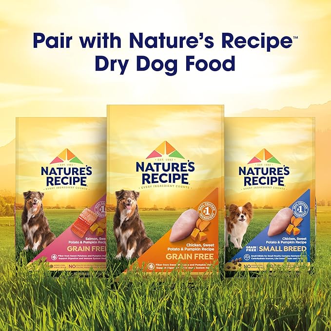 Nature's Recipe Grain Free Chicken Recipe in Savory Broth Wet Dog Food, 2.75 oz. Cup, 12 Count