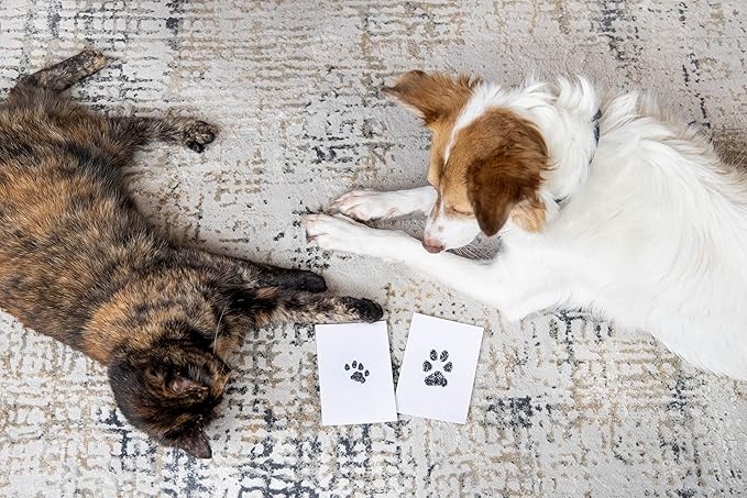 Pearhead Paw Print Clean Touch Ink Pad Kit for Dogs and Cats,Pet Owner Keepsake,DIY Inkless Paw and Nose Print Impression Set,Small/Medium,(Pack of 2)