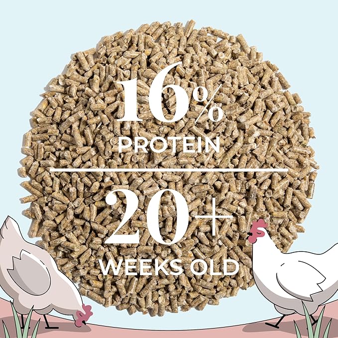 Mile Four Organic Chicken Feed – Layer Pellet, Non-GMO, USA Grown, 16% Protein, Corn-Free, Soy-Free, Non-Medicated Feed for Chickens, 2 lbs Sample