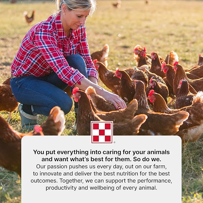 Purina Start and Grow | Non-Medicated Chick Feed Crumbles | Nutritionally Complete - 5 Pound (5 lb) Bag