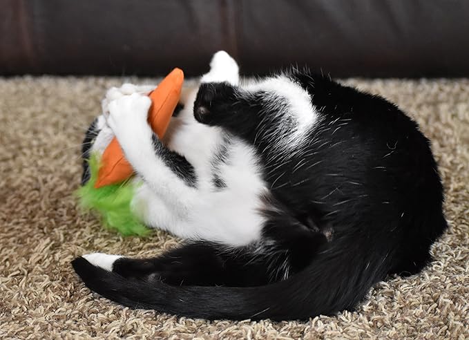 OurPets 100-Percent North American Catnip Filled Carrot Cat Toy 24 Karat