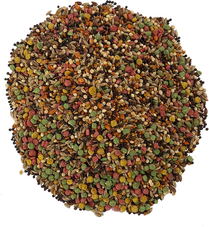 Wild Harvest Advanced Nutrition Diet Canary & Finch, Naturally Delicious Seed Mix With Vitamin A, 2 Pounds