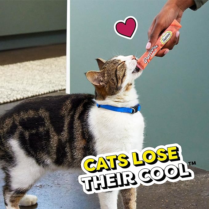 Temptations Creamy Puree Squeezable Lickable Cat Treats, Wet Cat Treats with Salmon, 0.42 oz. Tubes, 16 Count