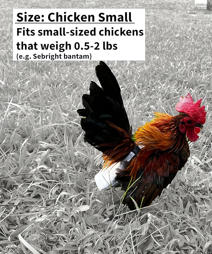 Chicken Diapers Duck Diaper Diaperalls for Hens, Roosters, Ducks, Ducklings - Reusable, Adjustable by Uni Infinity (Black Floral, Chicken Small, 1, Count)