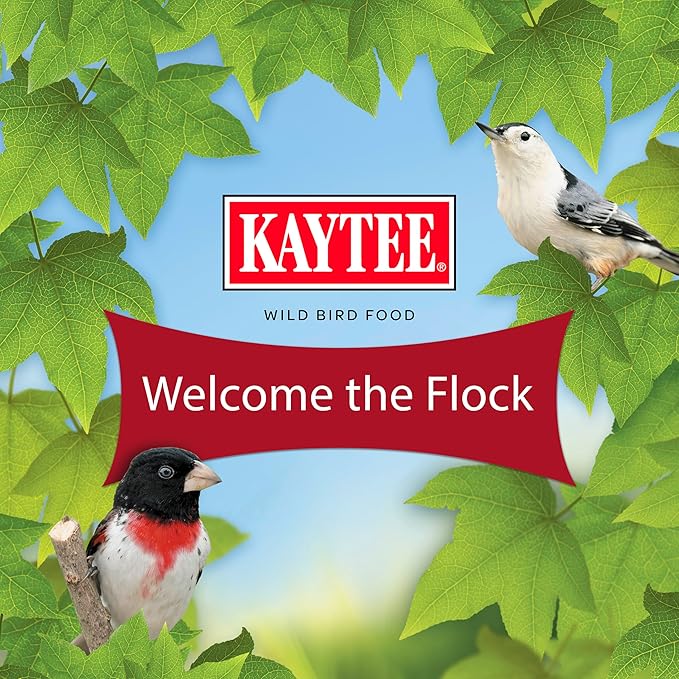 Kaytee Gourmet Bird Bar, 12-Ounce