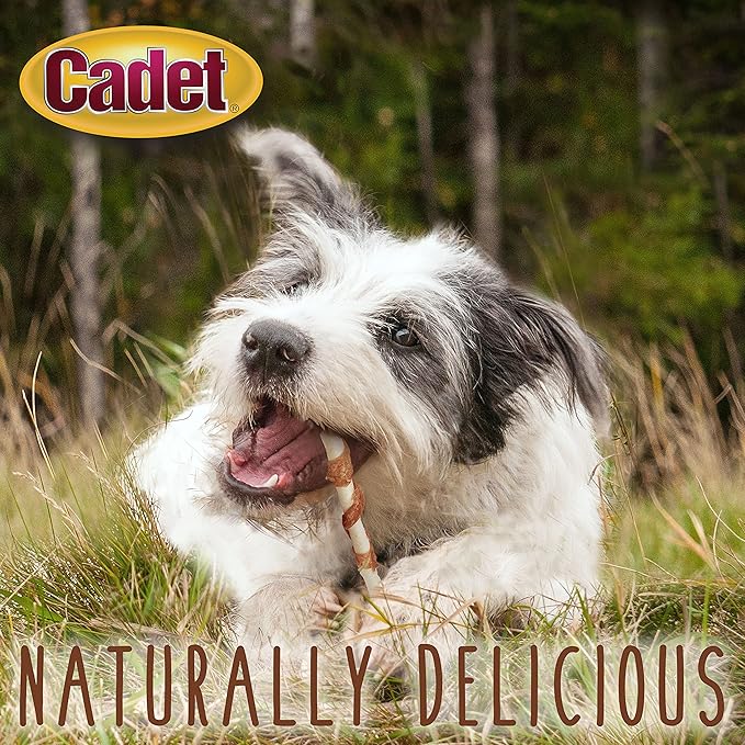 Cadet Gourmet 5-Inch Beef Hide Twist Chew Sticks, Long-Lasting and Natural Rawhide Chews for Dogs, Inspected & Tested in USA, Chicken Flavor, 50 Count