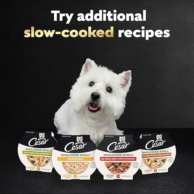 Cesar Wholesome Bowls Adult Wet Dog Food,Chicken,Recipe,Wet Food for Dogs,3 Oz. Bowls,10 Count (Pack of 2)