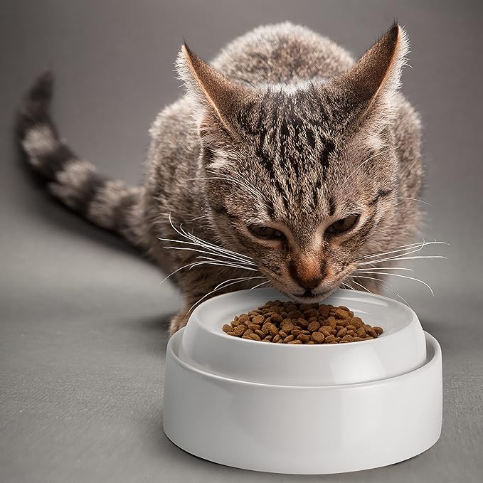 CatGuru Cat Bowls, Whisker Friendly Food Bowl for Indoor Cats, Reliefs Whisker Fatigue, Wide Kitten Dish, Non Slip Pet Dishes, Shallow Pet Plates (Ceramic (Pack of 2))