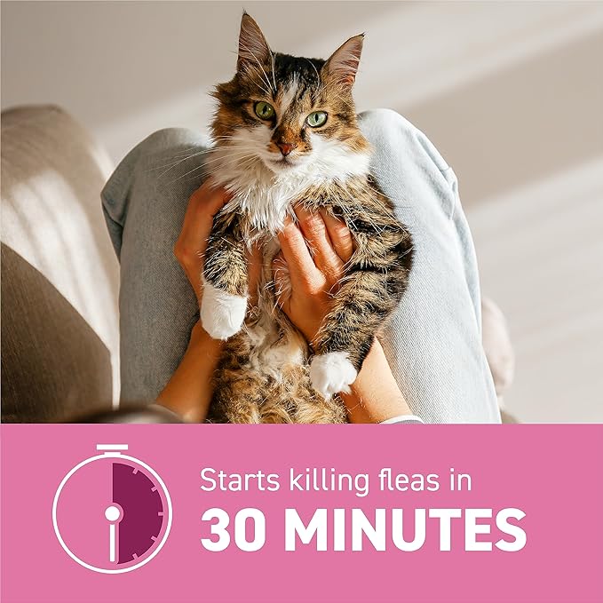 Capstar (nitenpyram) Cat Flea Treatment, Fast-Acting Oral Flea Treatment for Cats 2-25 lbs, Vet-Recommended Medication Tablets Start Killing in 30 Minutes, 12 Doses (Includes Two 6-Count Boxes)