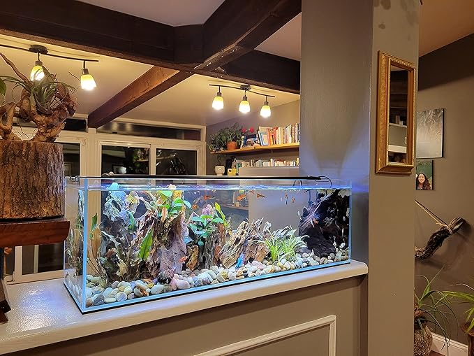 Lifegard Aquatics Bookshelf Aquarium – 16 Gallon Clear Glass Fish Tank with 6mm Thick Glass– for Freshwater/Marine, Leak-Proof, Home/Office Decor