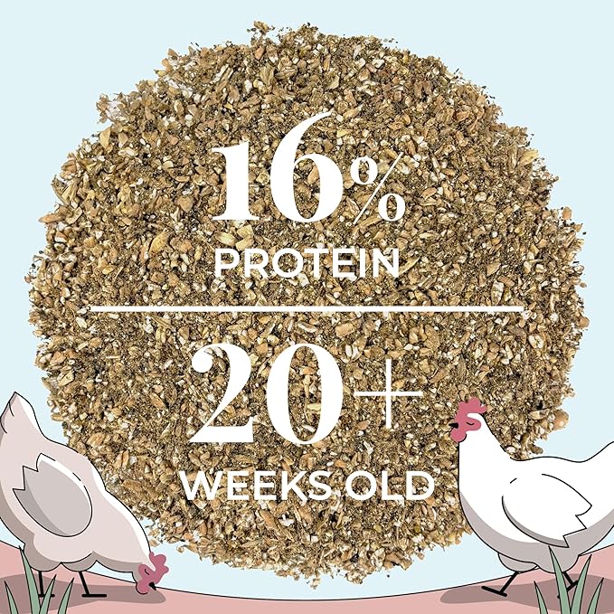 Mile Four Organic Chicken Feed (23 lbs) Layer Mash, Non-GMO, USA Grown, 16% Protein, Corn-Free, Soy-Free, Non-Medicated Feed for Chickens
