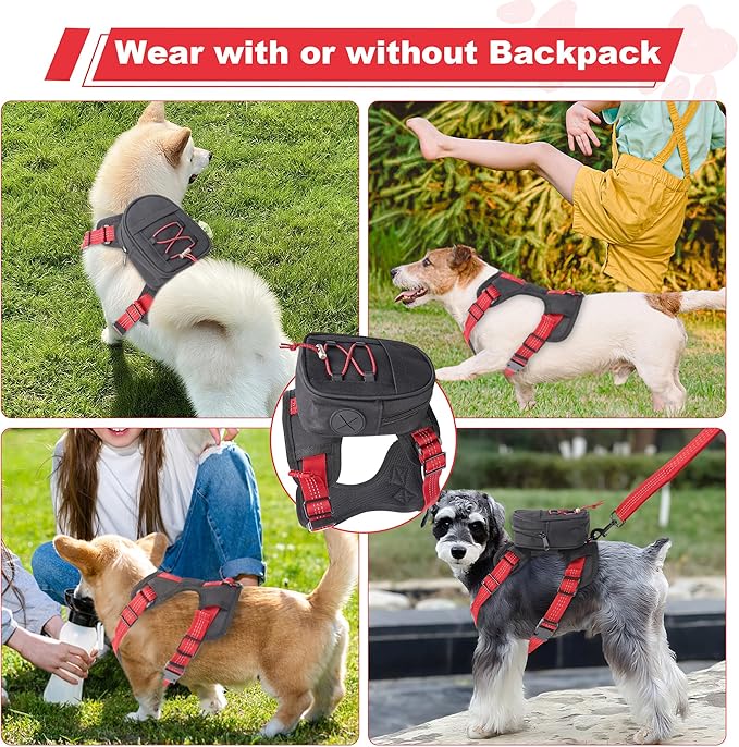 Dog Backpack Harness for Small and Medium Dogs, Adjustable Lightweight Carrier with Detachable Backpack and Leash, Water Resistant for Hiking, Training, and Daily Walks, M