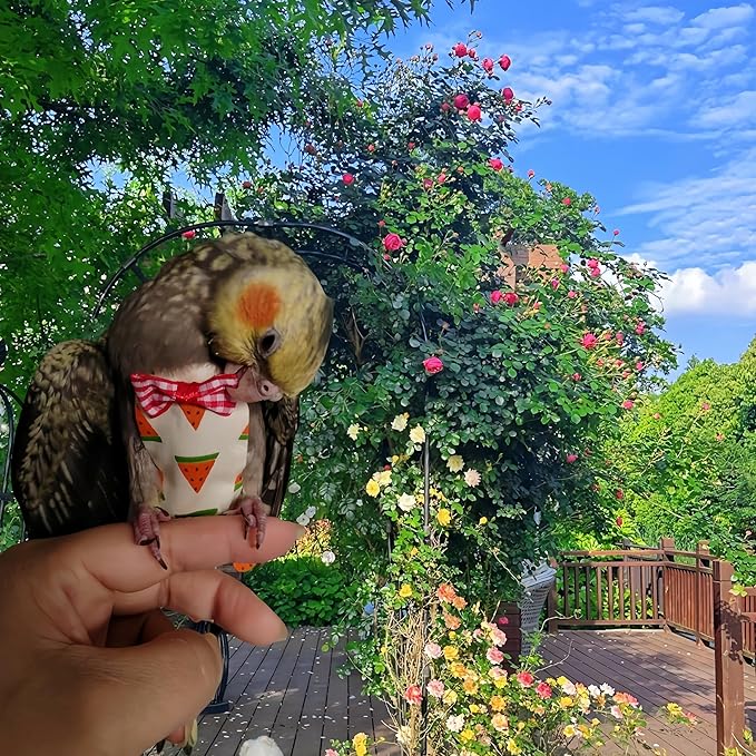 6 Pcs Bird Diapers Bird Harness Flight Suits Diapers Reusable Parrot Nappy with Waterproof Inner Layer Washable Cute Urine Wet Suit Costume for Cockatiel Conure Budgie Macaw Parakeet, S