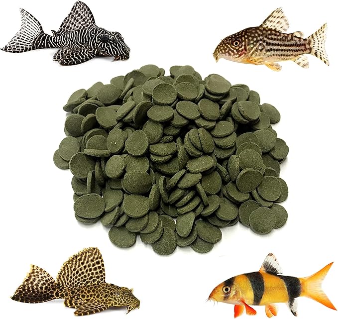 Medium 12mm Algae Wafer - Algae Wafers for Bottom Feeders - The Best Pleco Wafers & Pleco Food Available - Algae Wafers for Snails (2 lb)