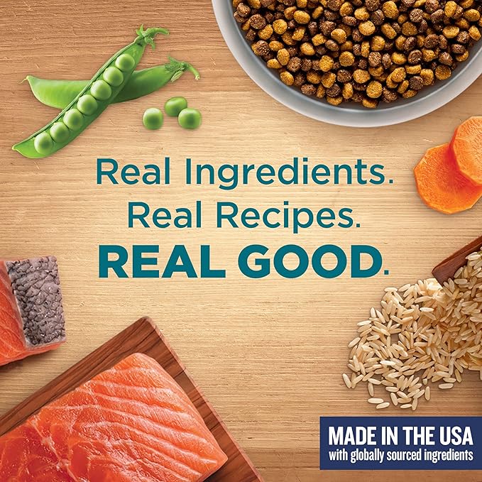 Nutrish Rachael Ray Dry Cat Food Real Salmon & Brown Rice Recipe, 2.5 lb. Bag