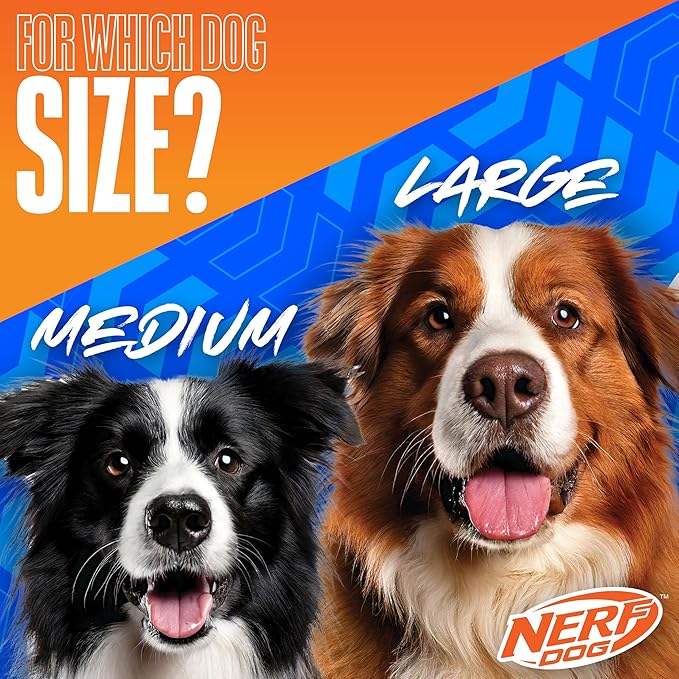 Nerf Dog Nylon Flyer Dog Toy, Flying Disc, Lightweight, Durable and Water Resistant, Great for Beach and Pool, 9 inch diameter, for Medium/Large Breeds, Single Unit, Orange