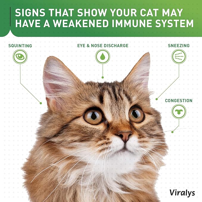 Vetoquinol Viralys Daily L-Lysine Powder for Cats and Kittens, Fish Flavored Lysine Supplement for Cats and Kittens to Support Immune Health, Normal Eye Function and Respiratory Health, 100gm