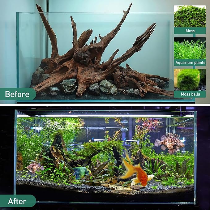 WDEFUN Natural Driftwood for Aquarium Decor, 5-Piece 5''-8'' Large Driftwood for Decorations on Fish Tank, Reptiles Bearded Dragon Accessories or Air Plants
