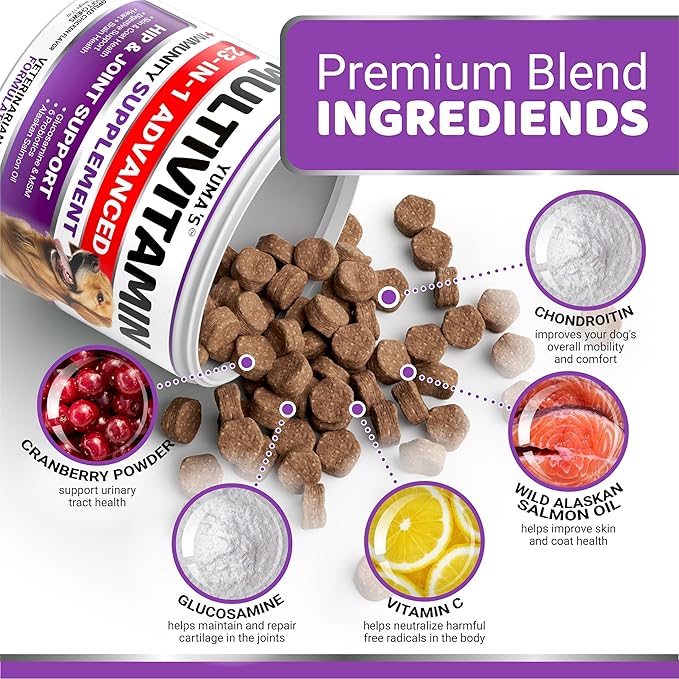 Dog Multivitamin Chewable with Glucosamine - Dog Vitamins and Supplements - 165 Treats - Senior & Puppy Multivitamin for Dogs - Hip & Joint Support - Immune Health, Skin, Heart, Digestion, Probiotics