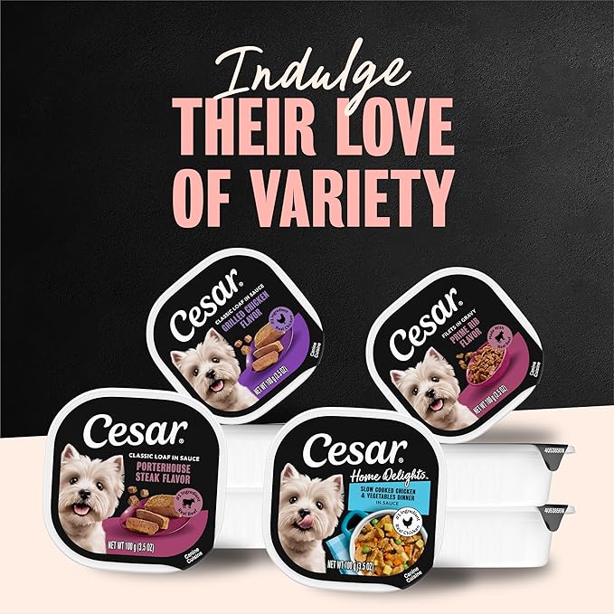 Cesar Filets in Gravy Adult Wet Dog Food, Rotisserie Chicken Flavor, 3.5 oz. Easy Peel Dog Food Tray, 24 Count (Pack of 1)
