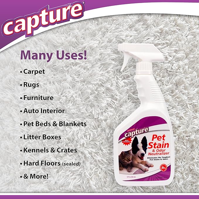 Capture Pet Stain & Odor Remover - Enzyme Pet Odor Eliminator for Home, Carpet Stain Remover for Cats & Dog Pee, Cat Urine Destroyer, Carpet Cleaner Spray - 32oz Portable Spray Bottle (2 Pack)