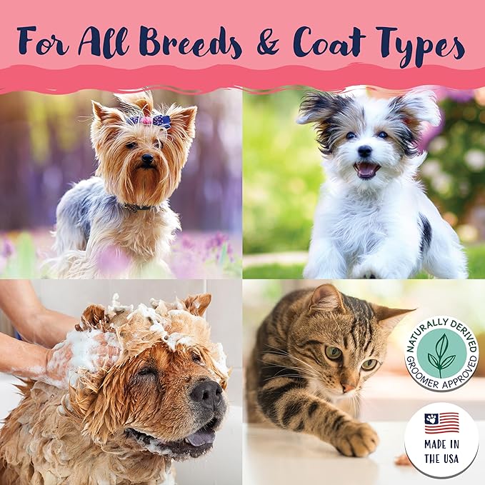 Bobbi Panter Cat Shampoo and Conditioner - Made in USA - All Natural 2-in-1 Formula for Reducing Shedding & Dander - Concentrated 10:1 for Professional Groomers - Watermelon Scent, 13 Oz (Case of 12)