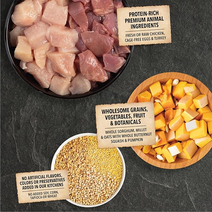 ACANA Wholesome Grains Dry Dog Food Small Breed Recipe Real Chicken Eggs and Turkey 11.5lb Bag