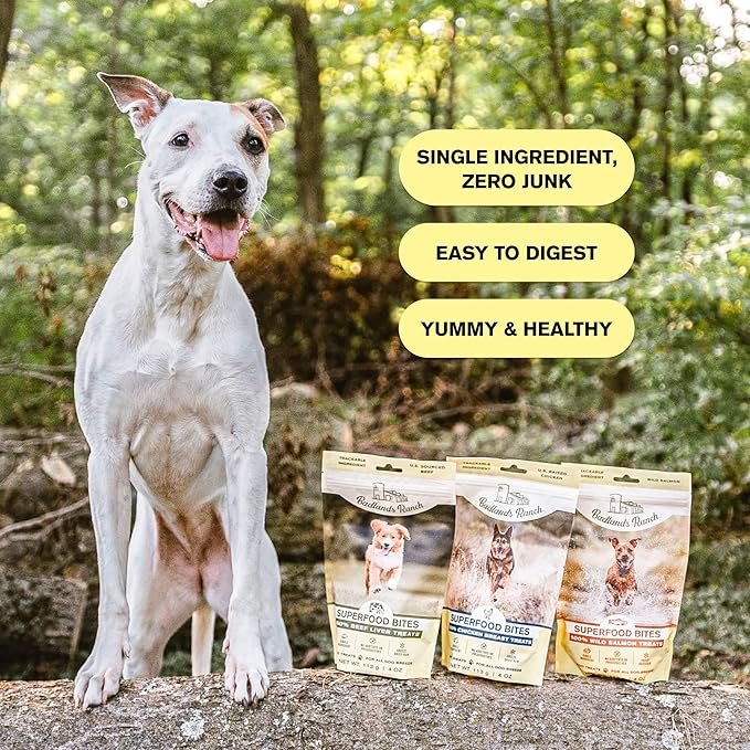 BADLANDS RANCH by Katherine Heigl – Superfood Bite Freeze-Dried Raw Wild Salmon Dog Treats – High Protein Single-Ingredient Snacks for Training, Rewards & Daily Wellness