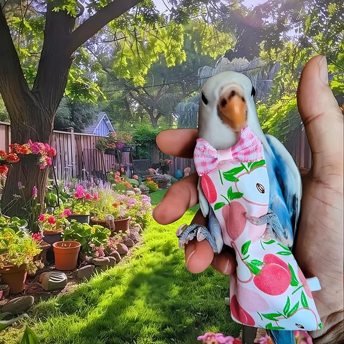 2Pcs Bird Diapers Bird Harness Flight Suits Diapers with 2Pcs 80 Inch Flying Leash Parrot Nappy Pigeon Pants Urine Wet Suit for Cockatiel Conure Macaw Budgies Parakeet-Apple&Pineapple