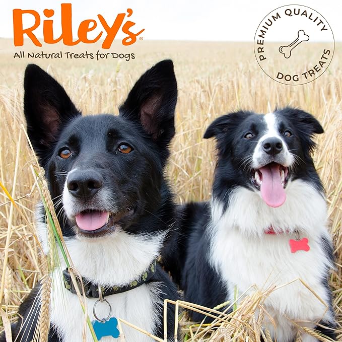 Riley's Steer Bully Sticks for Small to Medium Dogs - Single Ingredient Dog Treat, Easily Digestible, 100% Beef Pizzle Sticks - 5-6", 12ct (Pack of 2)