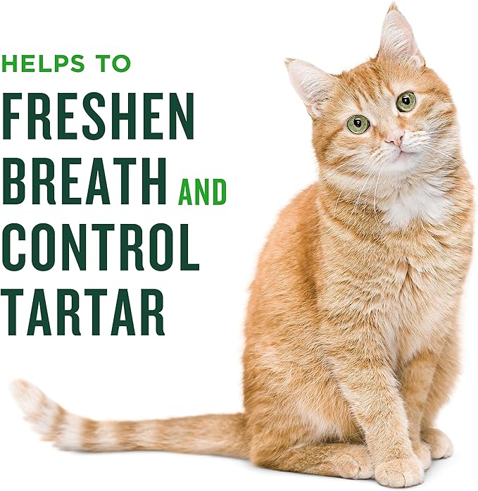 Minties Dental Treats for Cats, Salmon Flavored Treats for Cats, Freshens Breath and Controls Tartar, 2.5oz (Pack of 2)