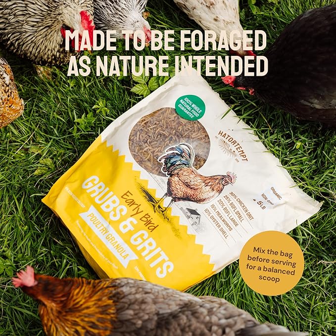 Hatortempt Chicken Feed Supplement - Non-GMO - Protein-Rich Mealworms, Black Soldier Fly Larvae & Oyster Shell - Calcium Grit Treats for Chickens - Egg Layer Feed Supplement (10 lb)
