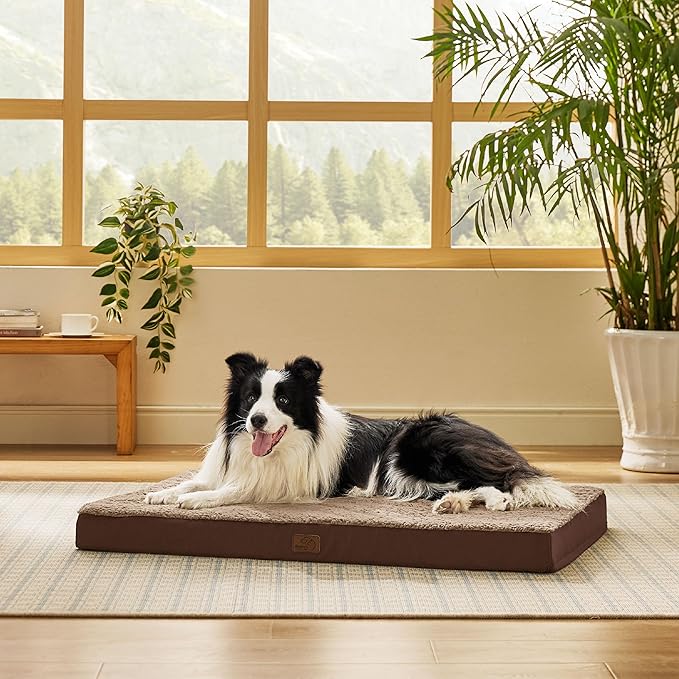 Bedsure Dog Beds Large Sized Dog - Comfy Flat Pet Beds with Removable Washable Cover, Orthopedic Egg Crate Foam Puppy Mat, Suitable for Pet Up to 65 lbs