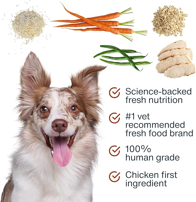 JustFoodForDogs JustFresh Boosts Sensitive Stomach Dog Food Topper with Fiber for Gut Support from Pumpkin, Oats, Psyllium, 8 oz Pouches - 8 Pack