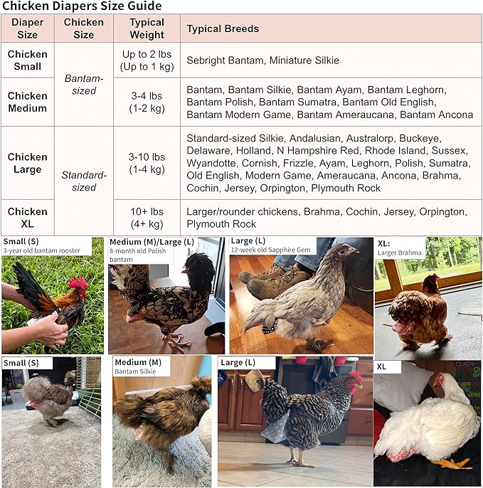 Chicken Diapers Duck Diaper Diaperalls for Hens, Roosters, Ducks, Ducklings - Reusable, Adjustable by Uni Infinity (Stars USA, Chicken Small, 1, Count)